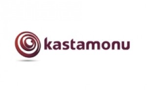 Ламинат Kastamonu