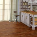 Линолеум Tarkett Premium Лаурина-1 Линолеум Tarkett Premium Лаурина-1