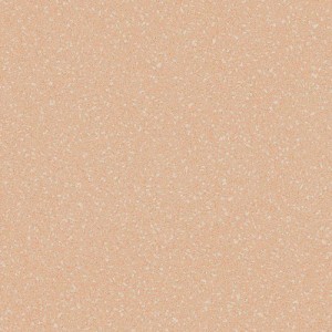Линолеум Tarkett Acczent PRO Aspect 5 Линолеум Tarkett Acczent PRO Aspect 5
