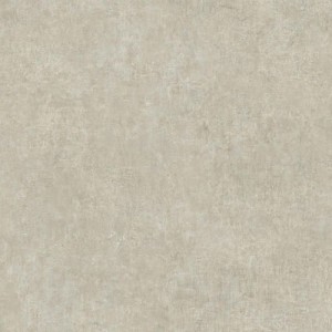 Линолеум Tarkett Acczent PRO Concrete 01 Линолеум Tarkett Acczent PRO Concrete 01